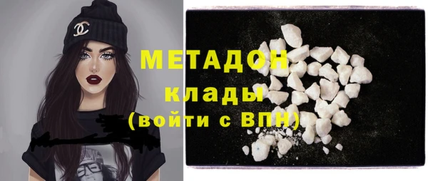 индика Богородицк
