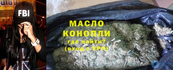 мдпв Бородино