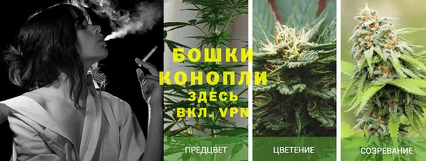 эйфоретик Бугульма