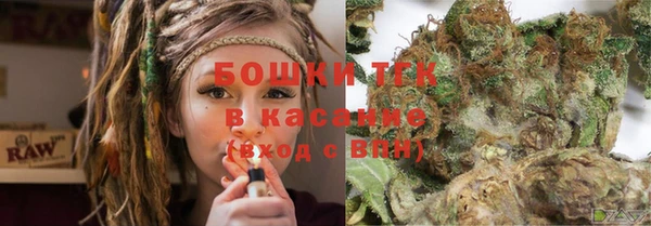 мдпв Бородино